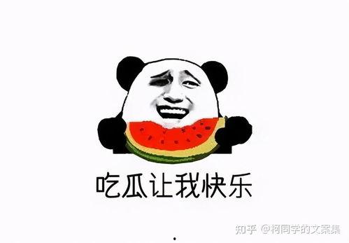 群众吃瓜文案视频,揭秘群众吃瓜文案背后的趣味与智慧  第2张